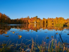     / Fall at the Belkino estate